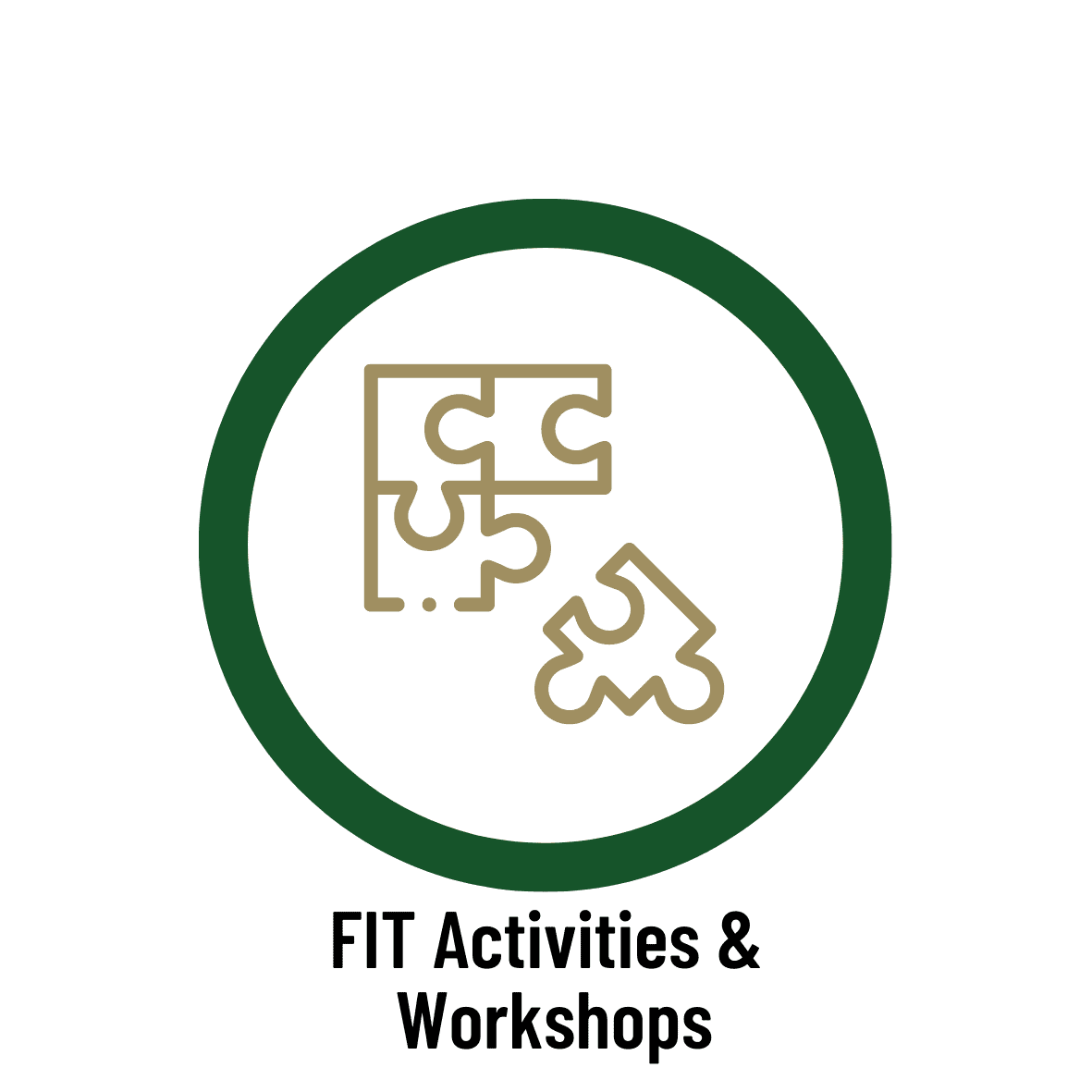 FIT Activities & Workshops